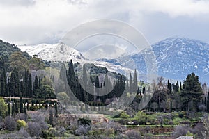 Generalife and white Nevada mountains photo