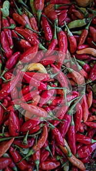 Generally Chili is used to add a spicy taste to food.
