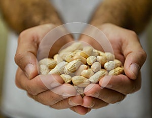 Cupped hands holding peanuts