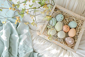 Happy easter Exquisite bouquet Eggs Springtime Bliss Basket. White Salvation Bunny easter verbena. Sprightly background wallpaper photo