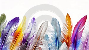 Different colorfful beautiful feathers on white background with copy space