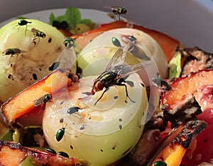 Nature\'s Recyclers: Flies Buzzing Around Rotting Vegetables photo