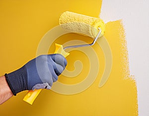 painting a wall yellow with a roll. photo