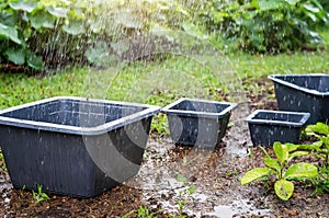 in rainy weather containers wait for rain to collect water.