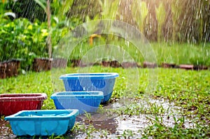 in rainy weather containers wait for rain to collect water.