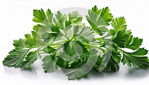 Fresh parsleys isolated on white background. Macro shot.