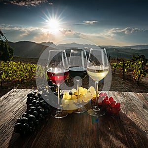 Wine Glass. Glass of wine: red, white and ros