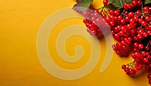 Text Border Design: Red Viburnum on Yellow Table