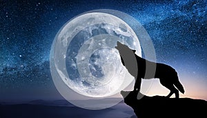 Howling wolf. A sky full of stars and a wolf howling wirg moon background