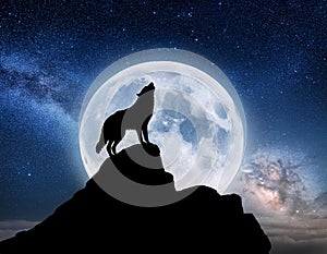 Howling wolf. A sky full of stars and a wolf howling wirg moon background