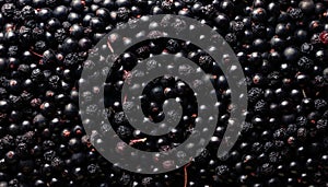 Elderberry - Food Pattern - Generated by Ai.