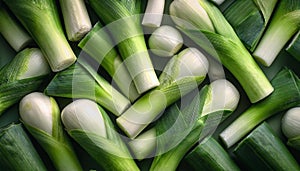 Leek - Food Pattern - Generated by Ai.