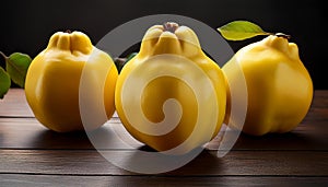 Arrangement of three fresh yellow quinces