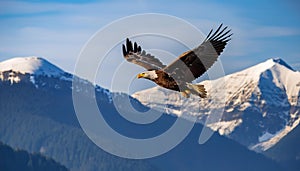 Mountain Majesty: AI-Generated Bald Eagle in Flight Over Peaks