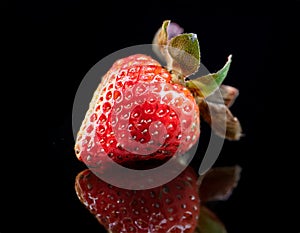 Red strawberry against black background