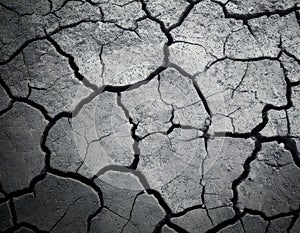 Cracked Earth Texture