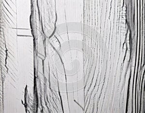 White Wood Grain Texture