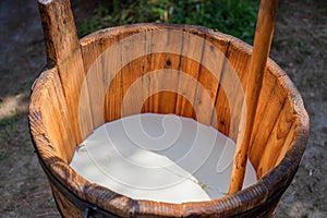 Fresh milk fermented