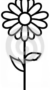 Daisy flower outline flat icon, isolated on white background.