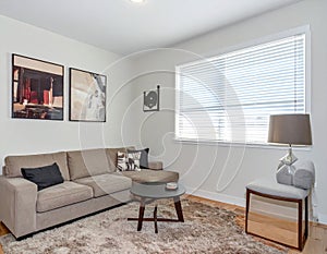 Window blinds, couch and artwork. Bright modern living room with comfortable corner couch