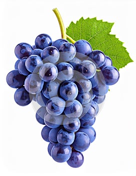 Grape on the with isolated background