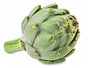 Artichoke on the with isolated background