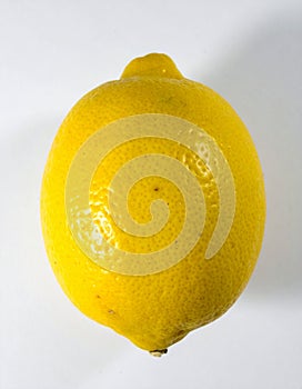 Lemon on the with isolated background