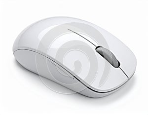 A computer mouse isolated on white with clipping path