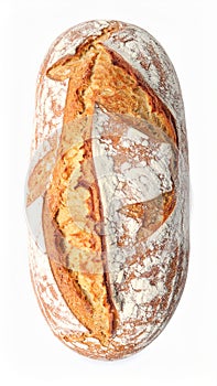 One freshly baked bread isolated on white.