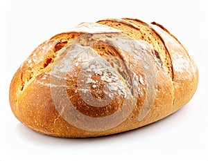 One freshly baked bread isolated on white.