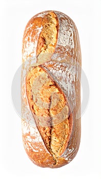 One freshly baked bread isolated on white.