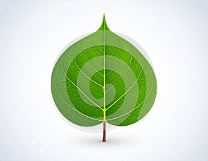 Leaf vector in EPS format featuring a clean and modern leaf design.