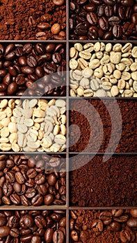 Different types of coffee as background, top view