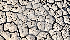 View of cracked ground surface on sunny day