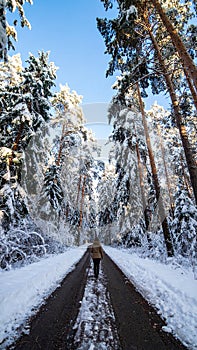 Woman walking along empty road in pine forest. Winter vacation