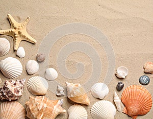 Different beautiful sea shells on sand, flat lay. Space for text