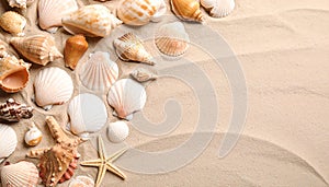 Different beautiful sea shells on sand, flat lay. Space for text