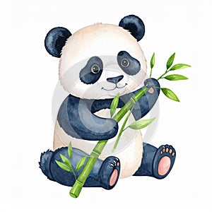 Panda eating bamboo cartoon