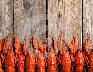 Delicious boiled crayfishes on wooden table, top view