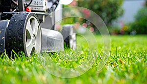 Lawn Mower Wheel Cutting Fresh Grass with Blurred Backyard Background