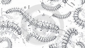 Hand Drawn Caterpillar Seamless Pattern Background