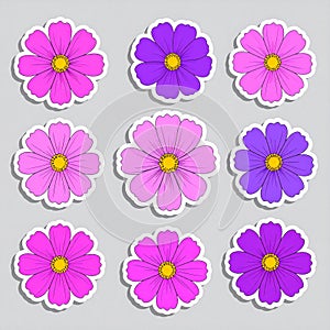 Colorful Cosmos Flower Sticker Set Vector Illustration
