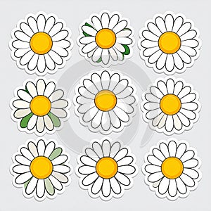 Daisy Flower Stickers - Floral Pattern