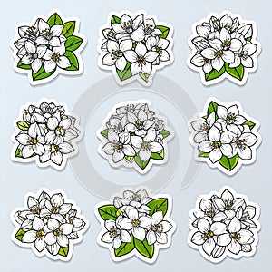 Jasmine Flower Stickers Collection