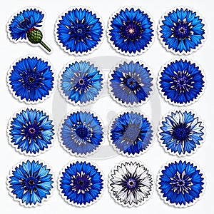 Set of Decorative Blue Cornflower Stickers