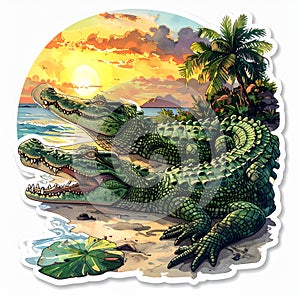 Tropical Alligators at Sunset