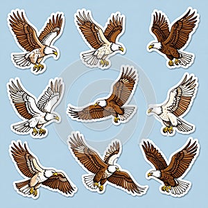 Collection of Bald Eagle Illustrations in Flight