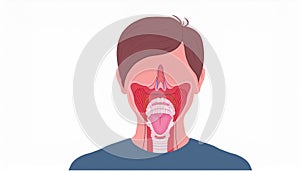 Human Upper Respiratory System Anatomy