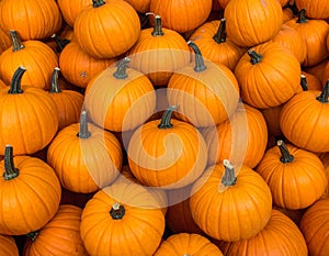 Pile of Pumpkins