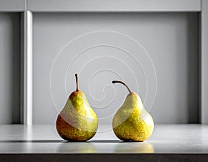 Two ripe pears on the gray table, shut up. Text area